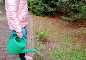 Dziewczynka konewką. podlewa kwiatki.