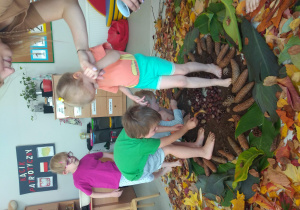 Dzieci stoją boso na ścieżce sensorycznej złożonej z kasztanów, ziemi, szyszek i kolorowych liści. Są zaciekawione.