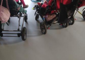 Pośrodku sali na kocyku rozłożonym przez uczniów leży pies Whisper. Na podłodze po jego lewej stronie siedzi terapeutka opowiadająca uczniom o psich zmysłach. W półkolu przed nimi siedzą uczniowie.