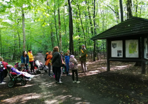 Uczniowie słuchający przewodnika przed tablicą informacyjną w lesie.
