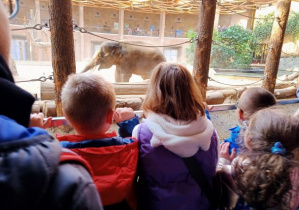 Dzieci obserwują słonia.
