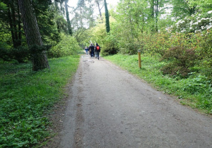 Uczniowie idą ścieżką wsró drzew i krzewów.