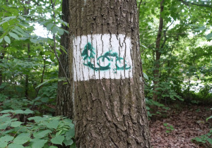 Znak graficzny namalowany na drzewie - rower i choinka.