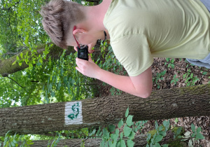 Uczeń fotografuje znak graficzny namalowany na drzewie.