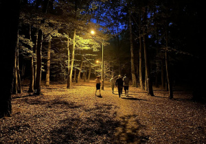 Wychowankowie idą alejką w lesie, która jest oświetlona latarnią.