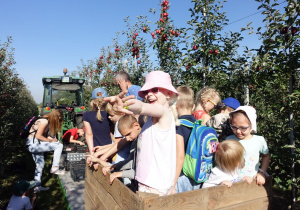 Dzieci stoją w wielkiej skrzyni na jabłka, która znajduje się na przyczepie traktora.