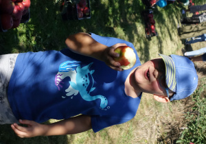 Chłopiec z uśmiechem zjada zerwane przez siebie jabłko.