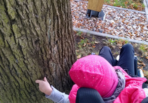 Dziewczynka dotyka kory drzew.