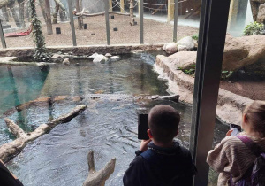 Dzieci przyglądają się krokodylom.