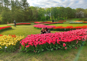 Uczennice wśród kwitnących tulipanów.