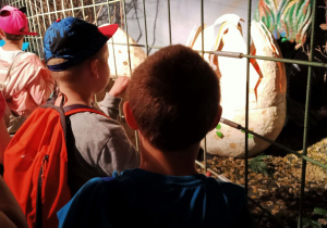 Dzieci oglądają wyklucie się dinozaura z jaja.