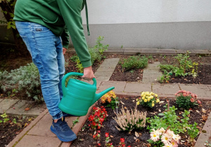 Chłopiec podlewa konewką kwiaty na grządce.