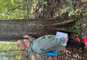 Uczeń dotyka kory drzewa.