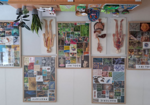 Plansze tematyczne i pomoce dydaktyczne