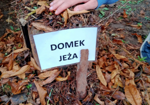 Domek dla jeża.