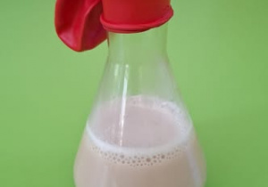 Kolba z drożdżami na z nałożonym balonikem.