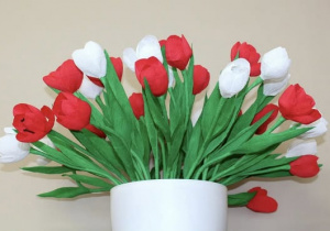 Biało-czerwone tulipany