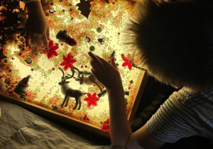 Stanowisko sensoryczne.