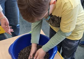 Chłopiec wybiera kamyczki z pojemnika.