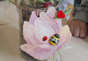 Zakończona praca - rośliny w słoiku.