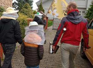 Dzień z pszczołami